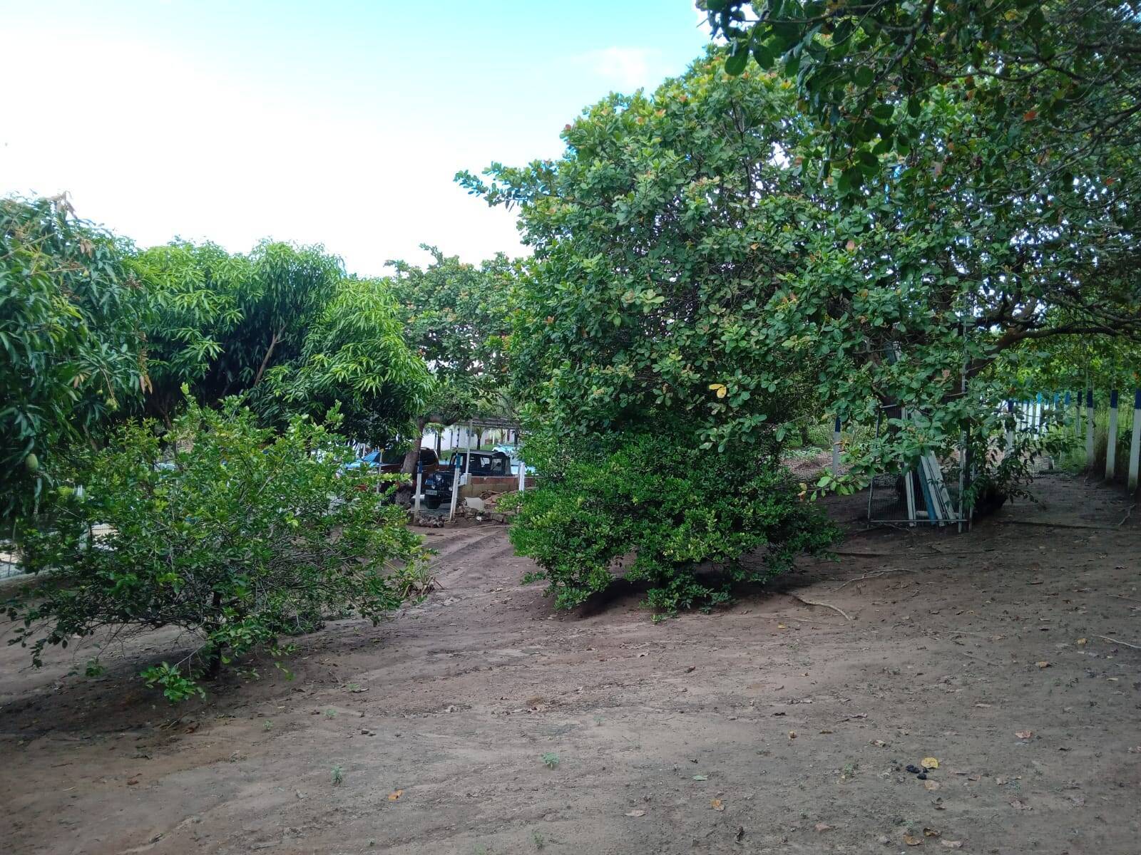 Chácara, 2 quartos, 3094 m² - Foto 3