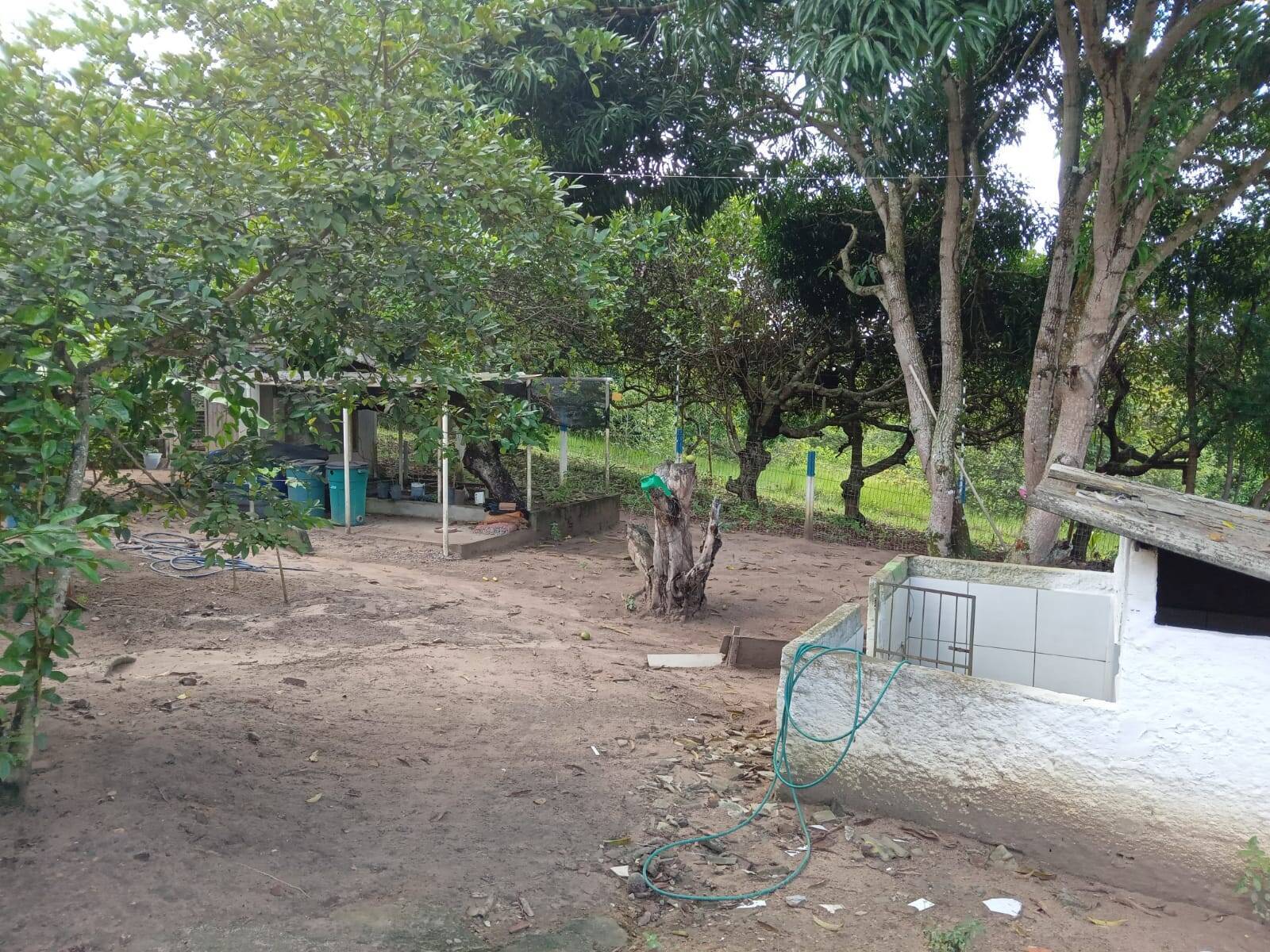 Chácara, 2 quartos, 3094 m² - Foto 5