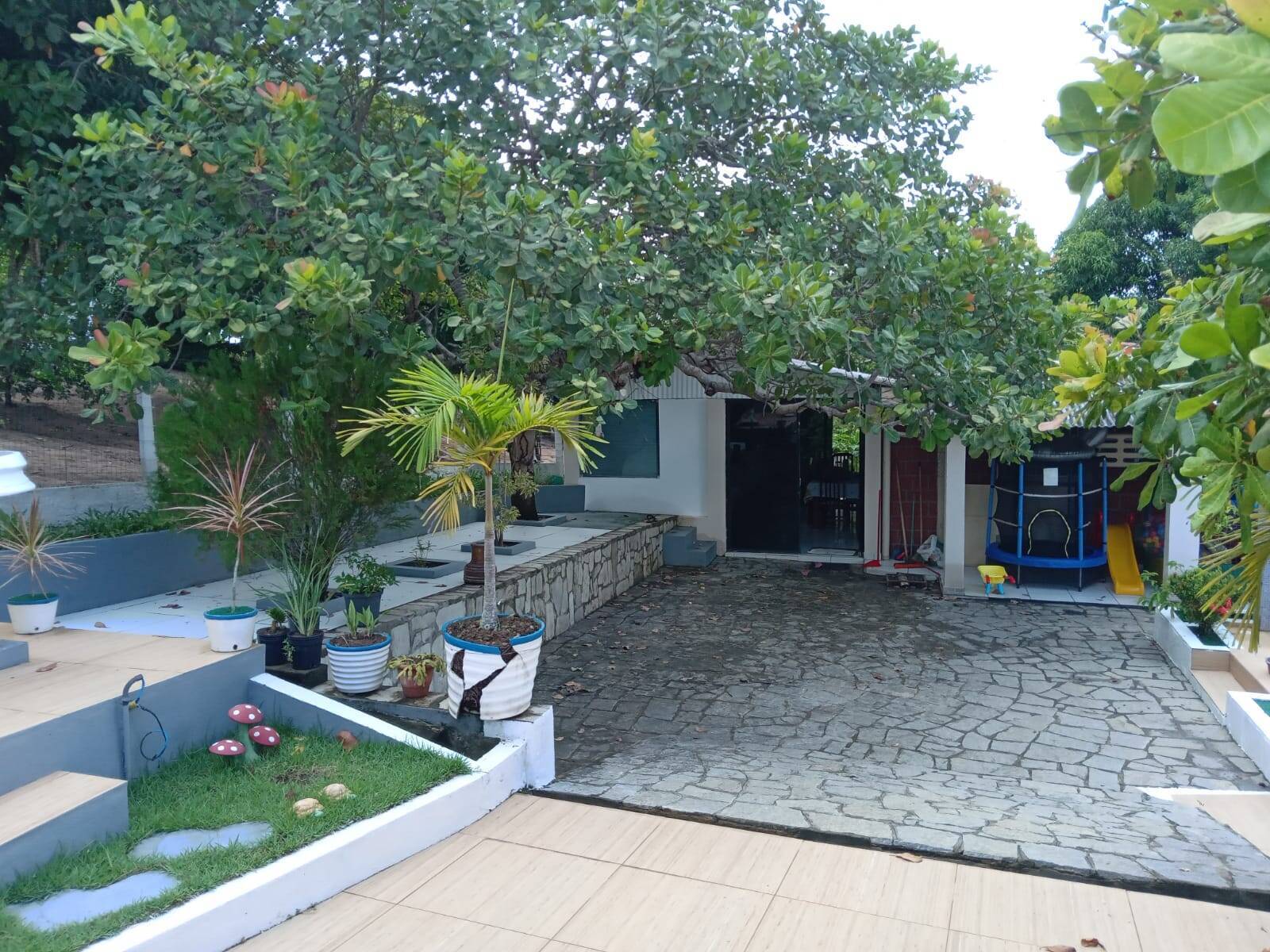 Chácara, 2 quartos, 3094 m² - Foto 15