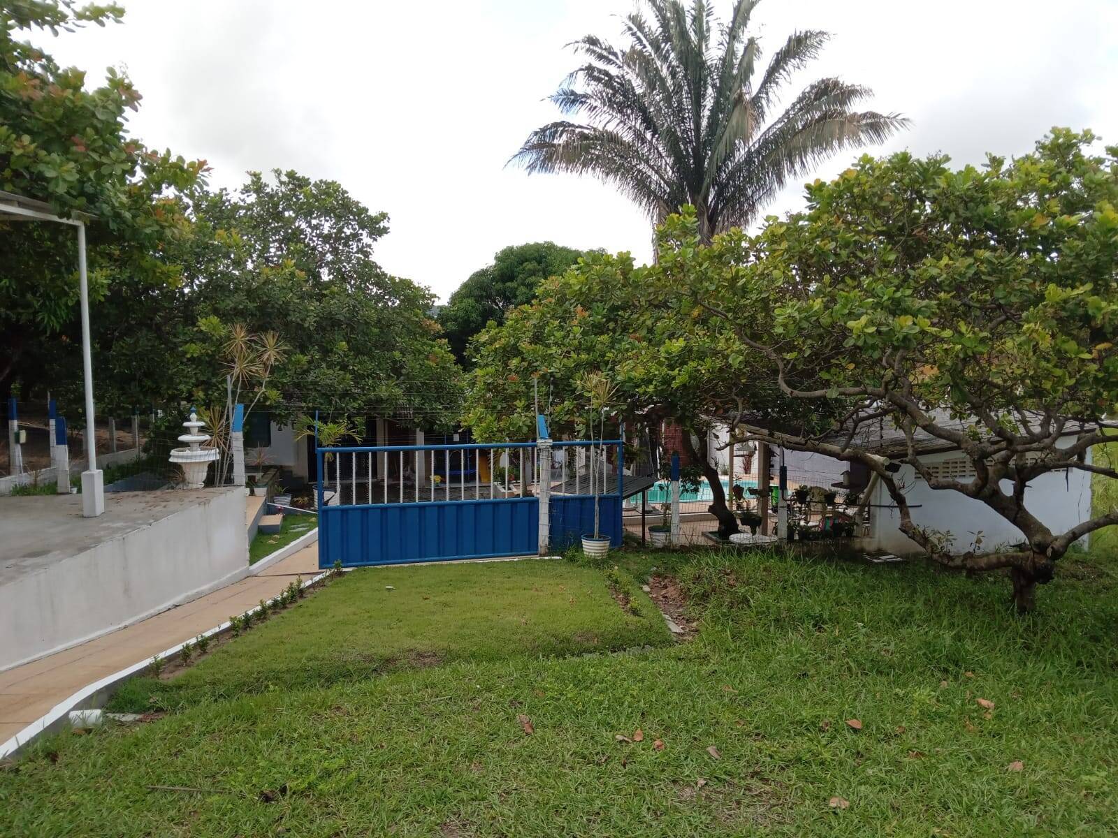 Chácara, 2 quartos, 3094 m² - Foto 17
