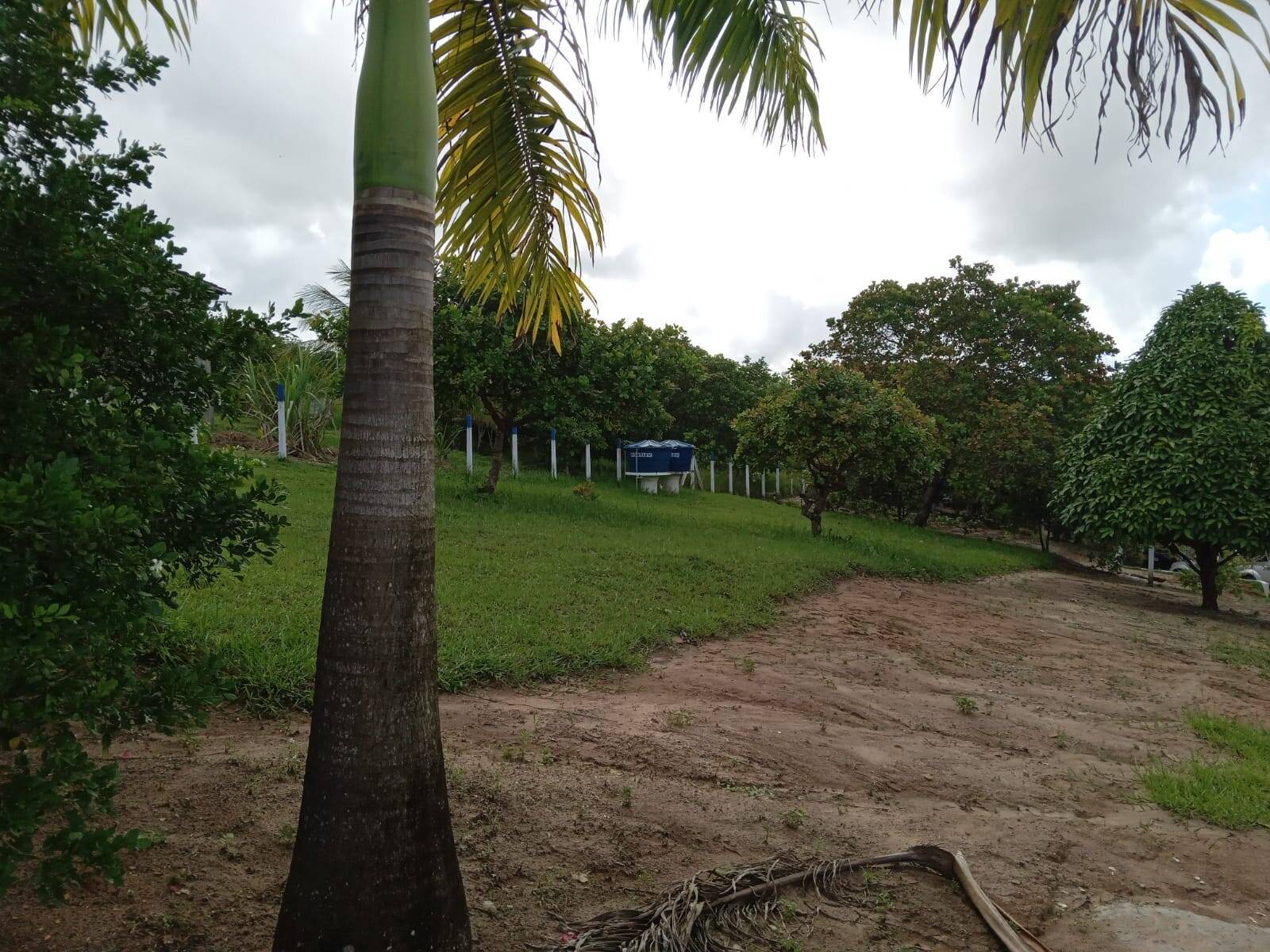 Chácara, 2 quartos, 3094 m² - Foto 21