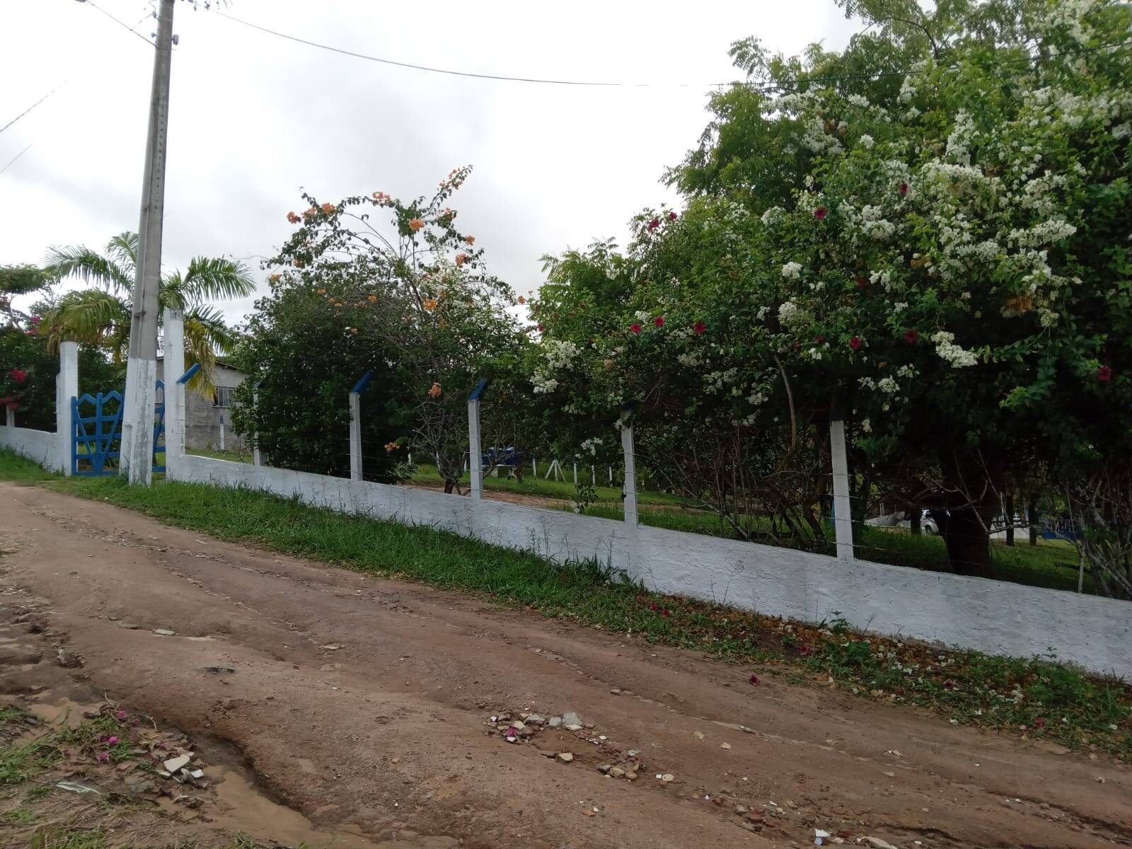 Chácara, 2 quartos, 3094 m² - Foto 20