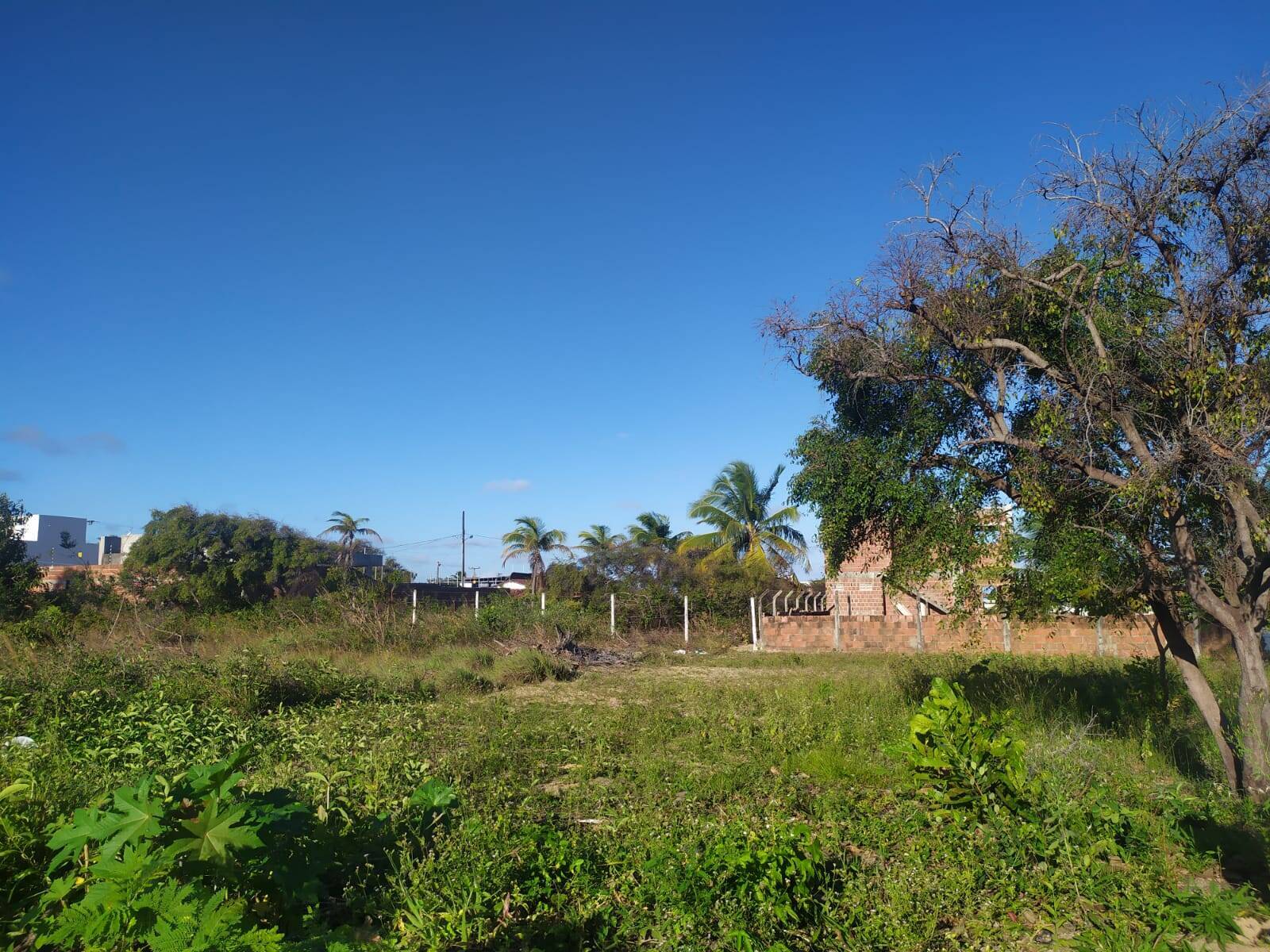 #144 - Área para Venda em Conde - PB