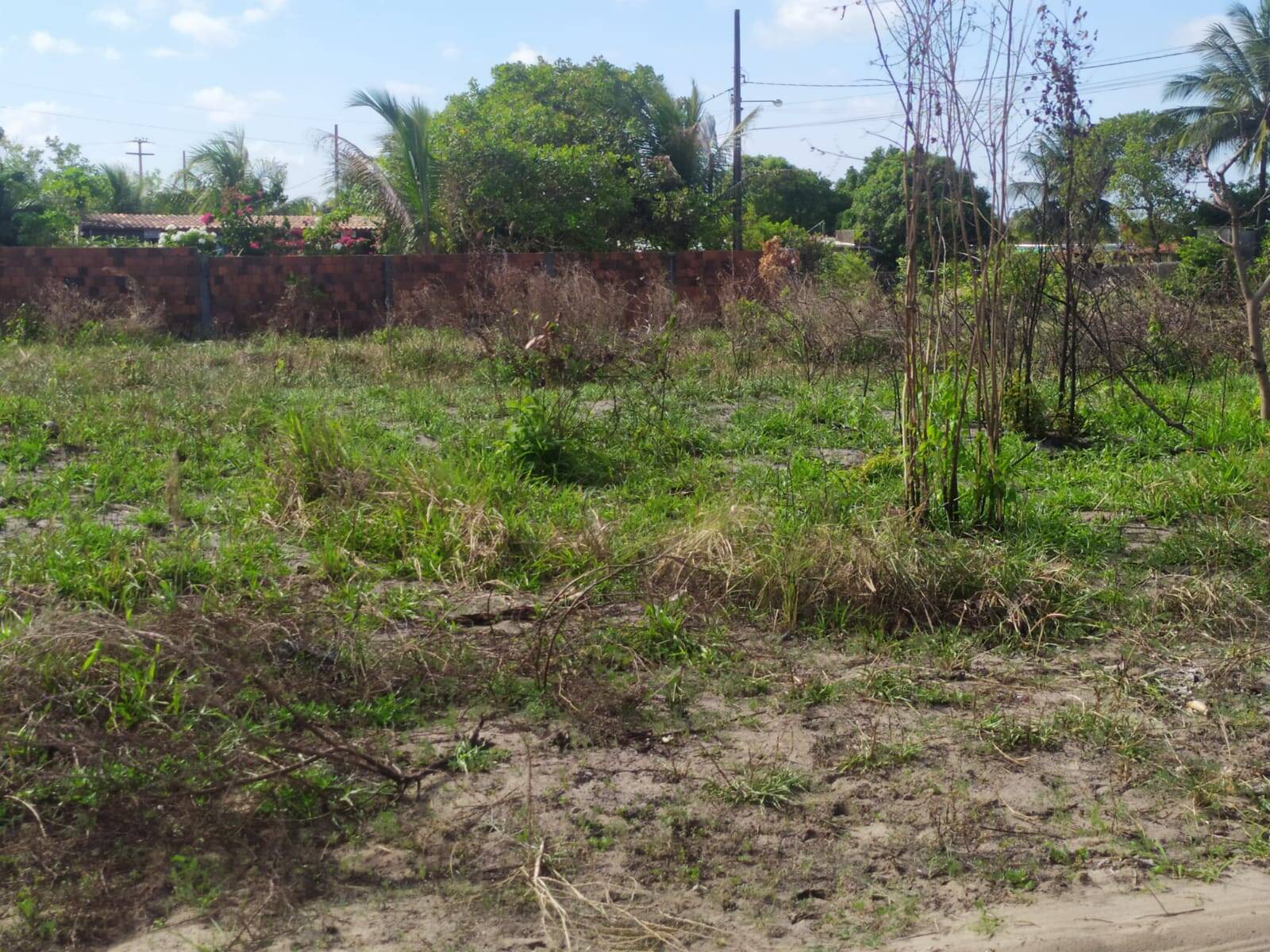 Terreno, 1800 m² - Foto 2