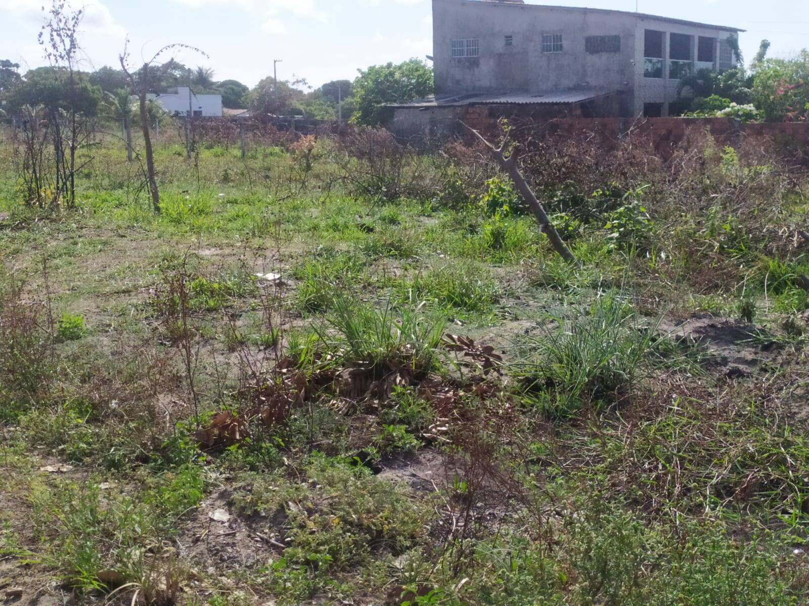 Terreno, 1800 m² - Foto 3