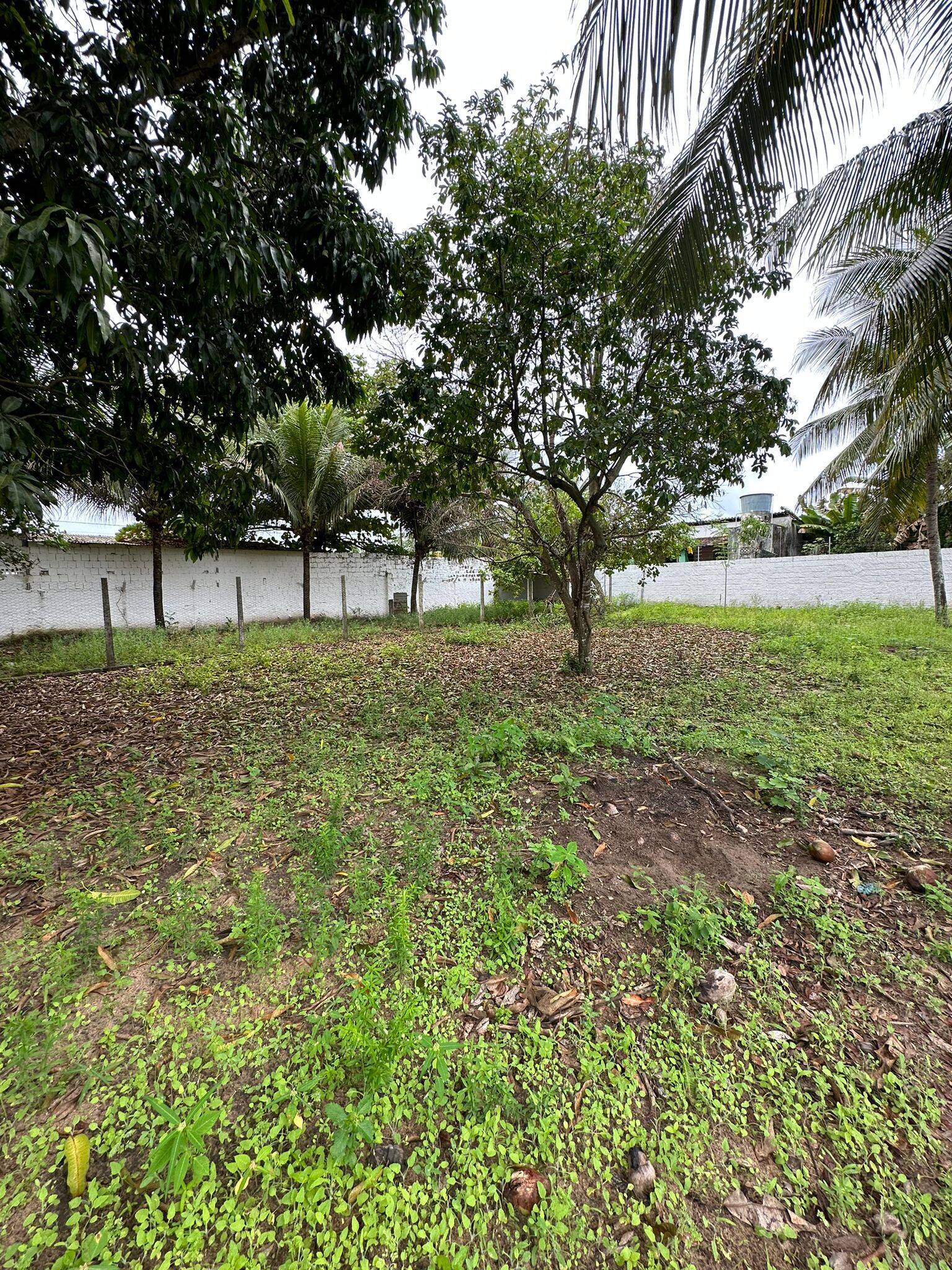 Casa, 3 quartos, 200 m² - Foto 9