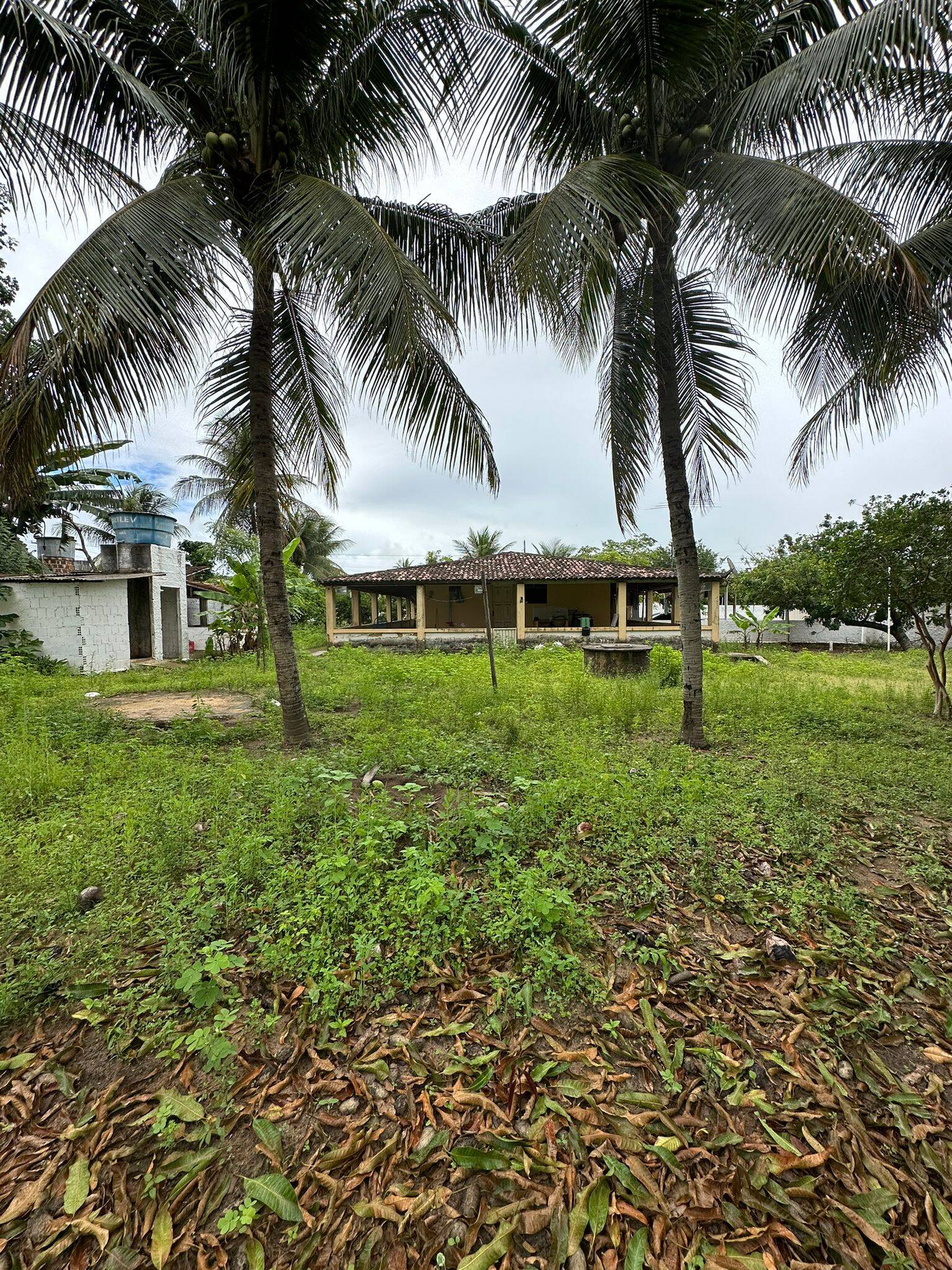 Casa, 3 quartos, 200 m² - Foto 10