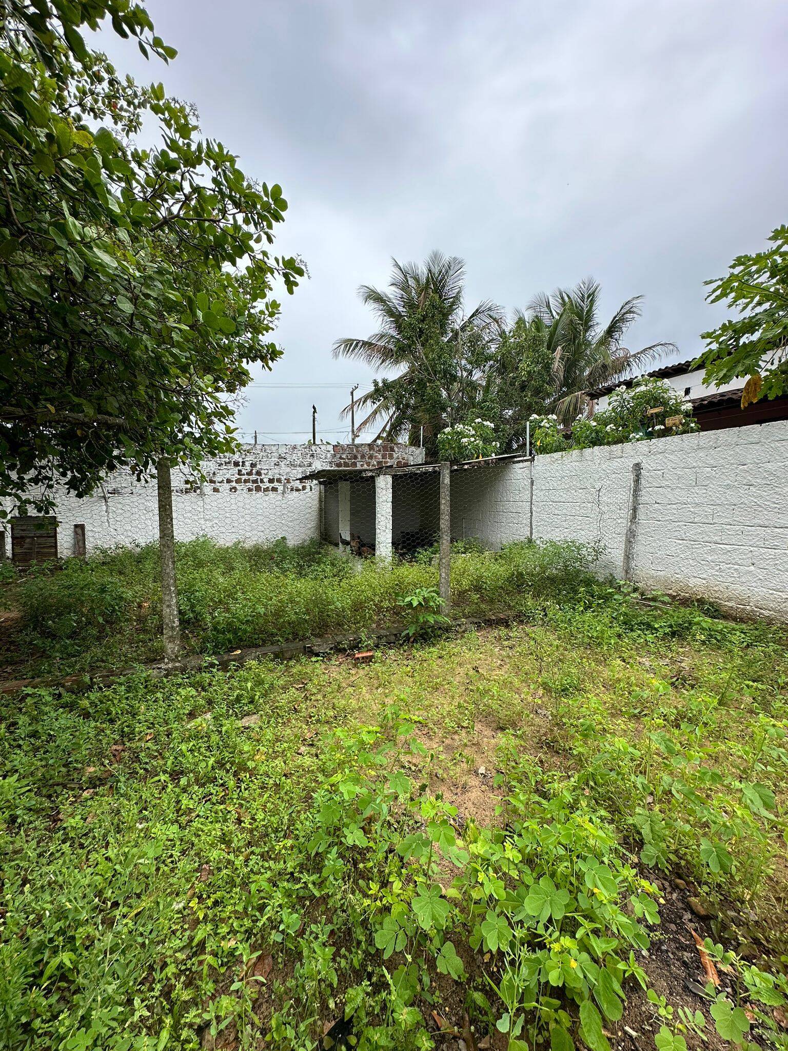 Casa, 3 quartos, 200 m² - Foto 11