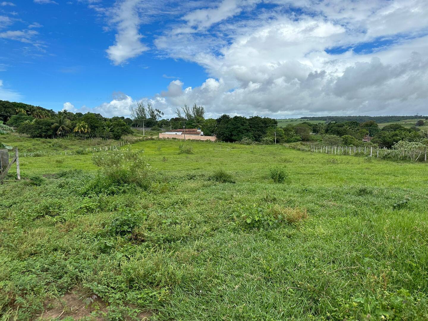#175 - Área para Venda em Conde - PB