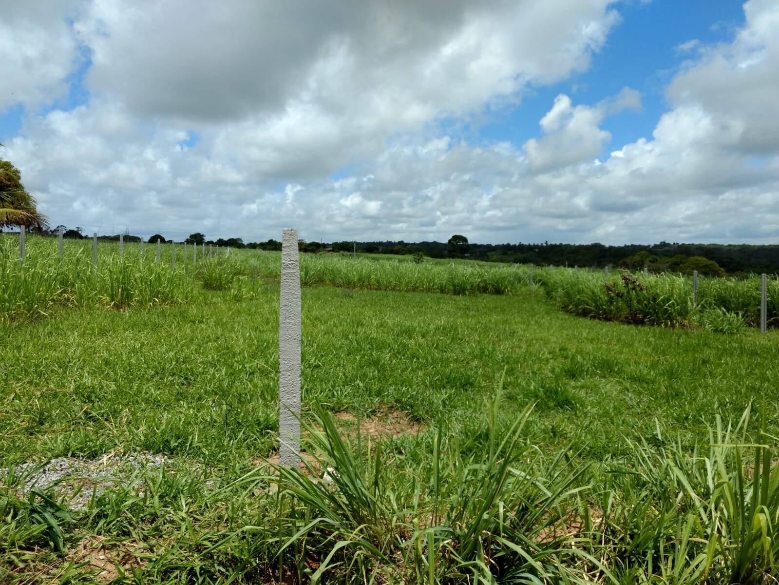 Terreno, 1000 m² - Foto 3