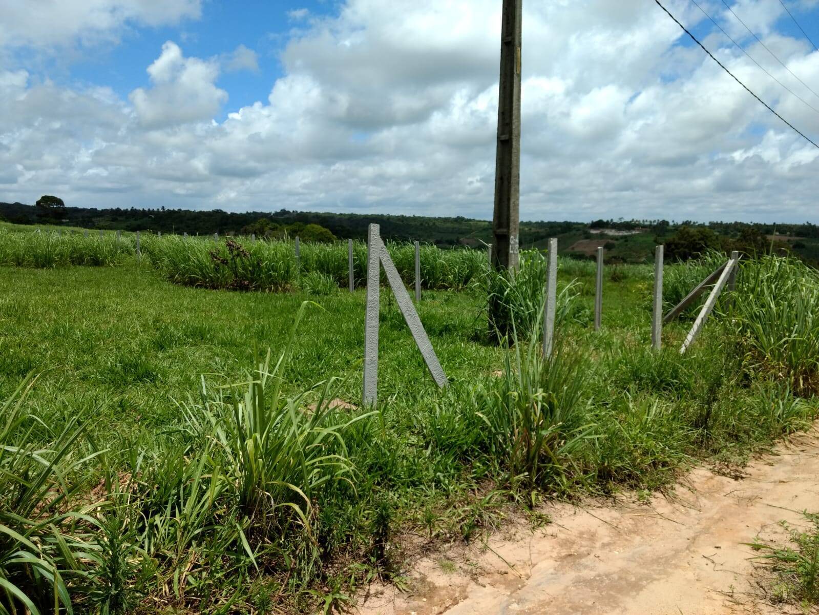 Terreno, 1000 m² - Foto 7