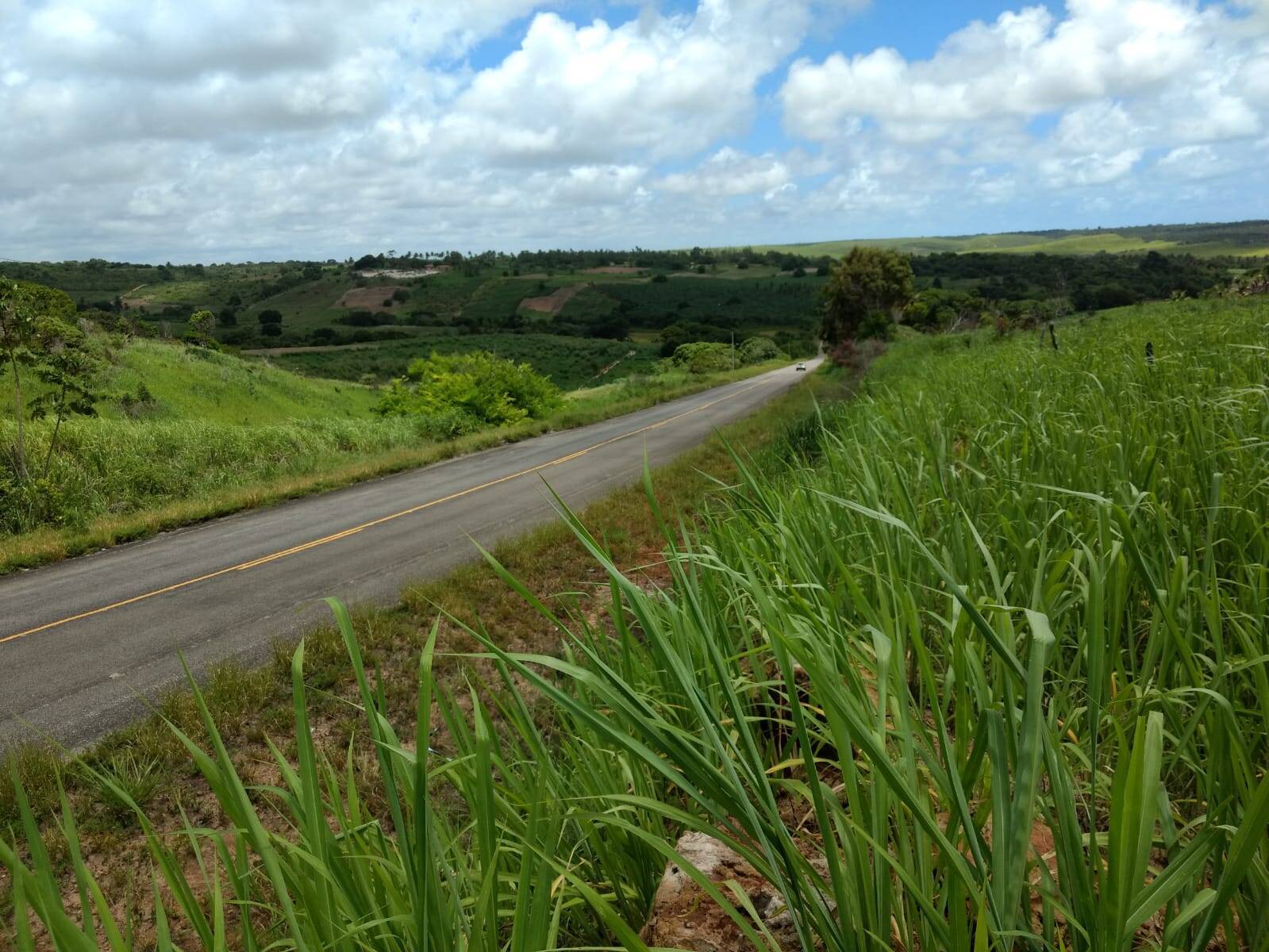 #186 - Área para Venda em Pitimbu - PB