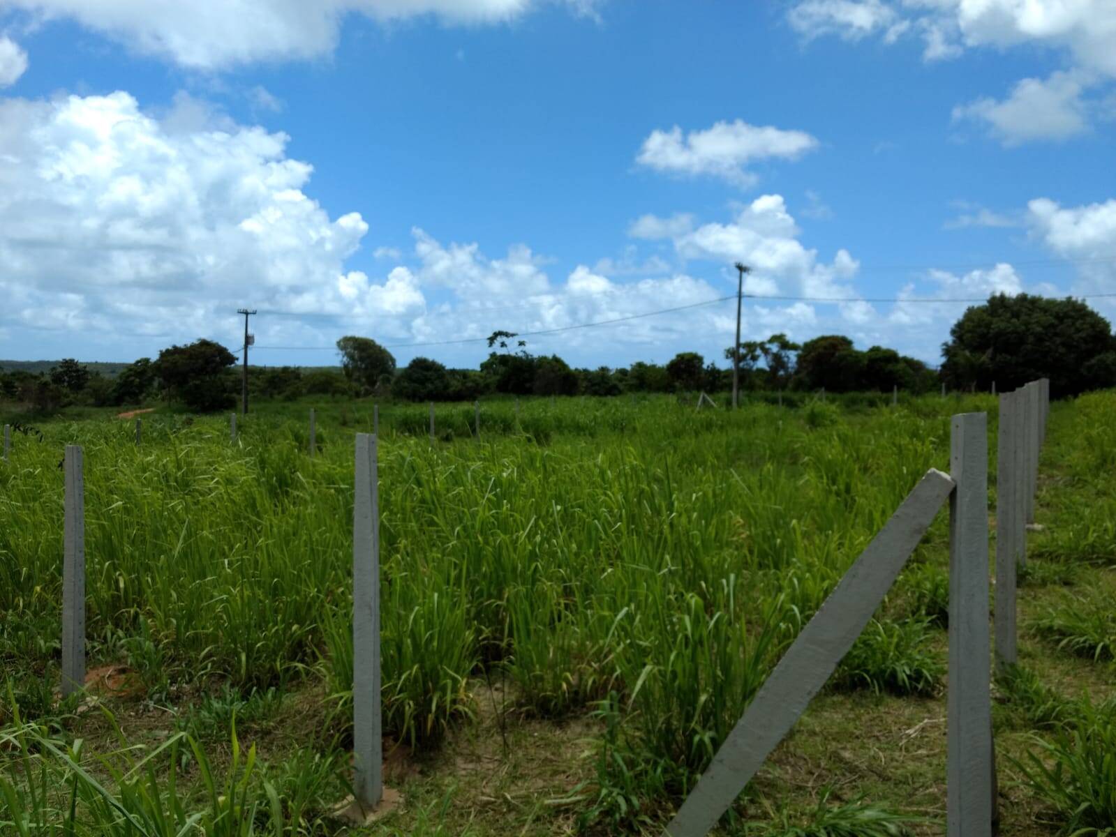 Terreno, 1000 m² - Foto 9