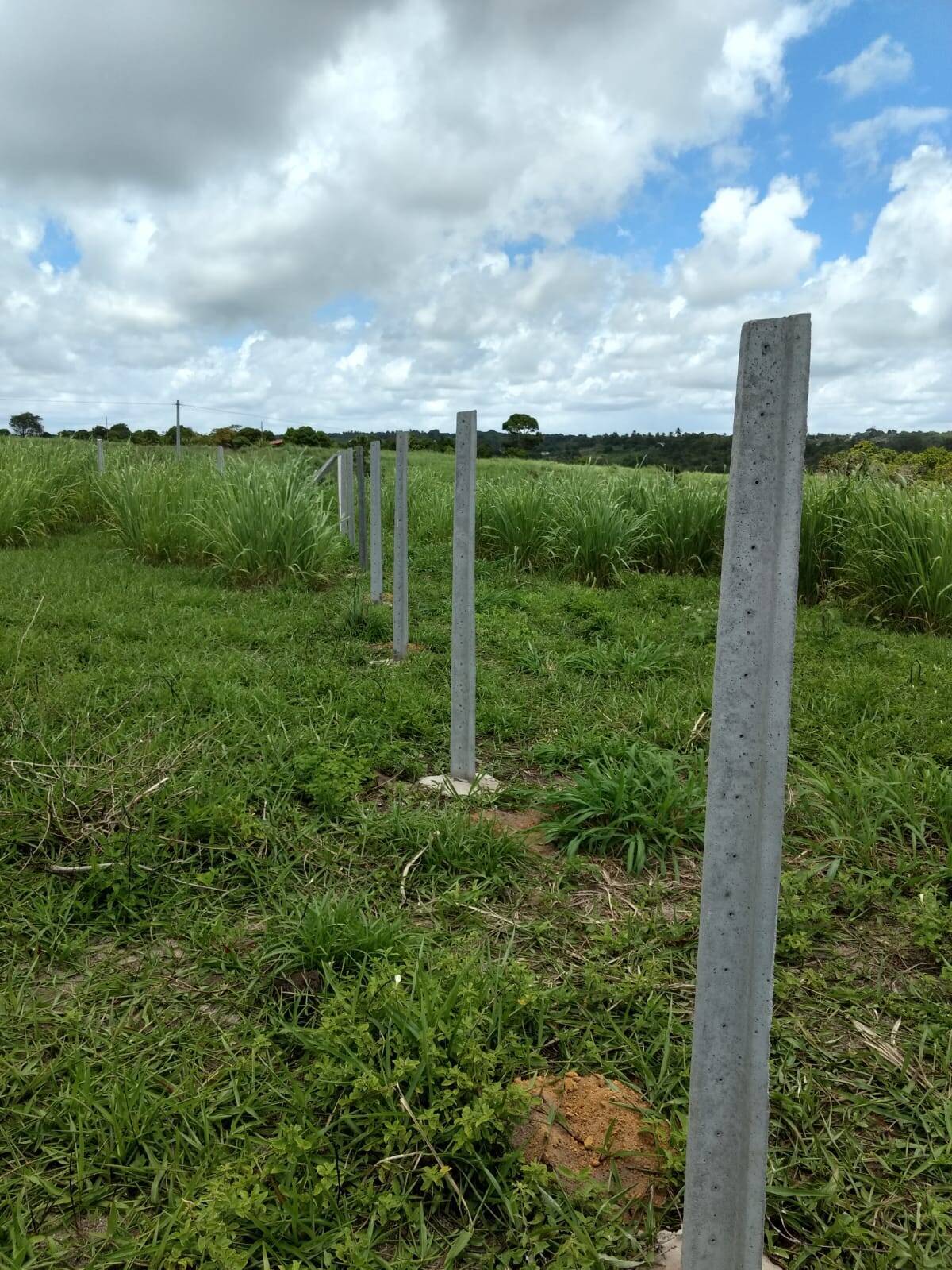 Terreno, 1000 m² - Foto 10