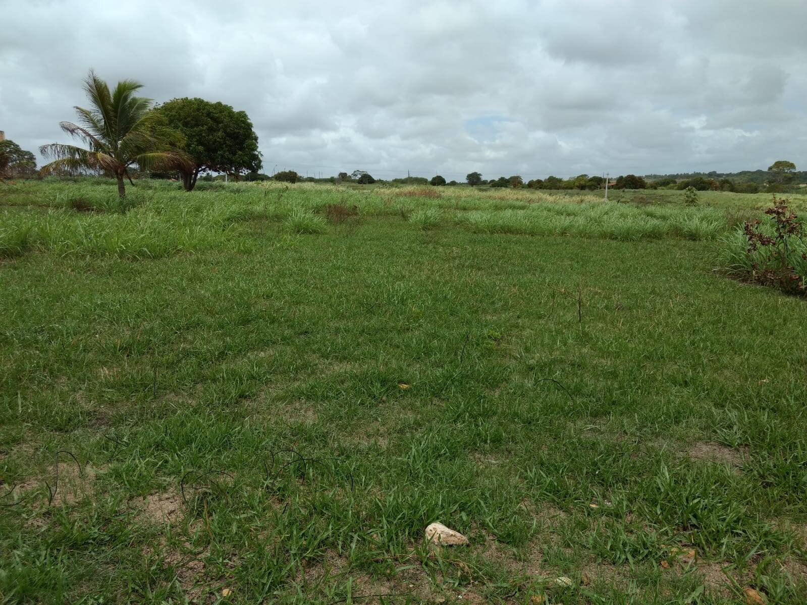 Terreno, 1000 m² - Foto 12