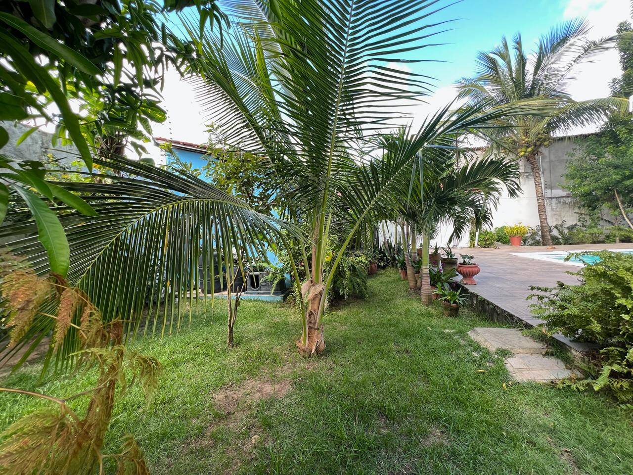 Casa, 4 quartos - Foto 48