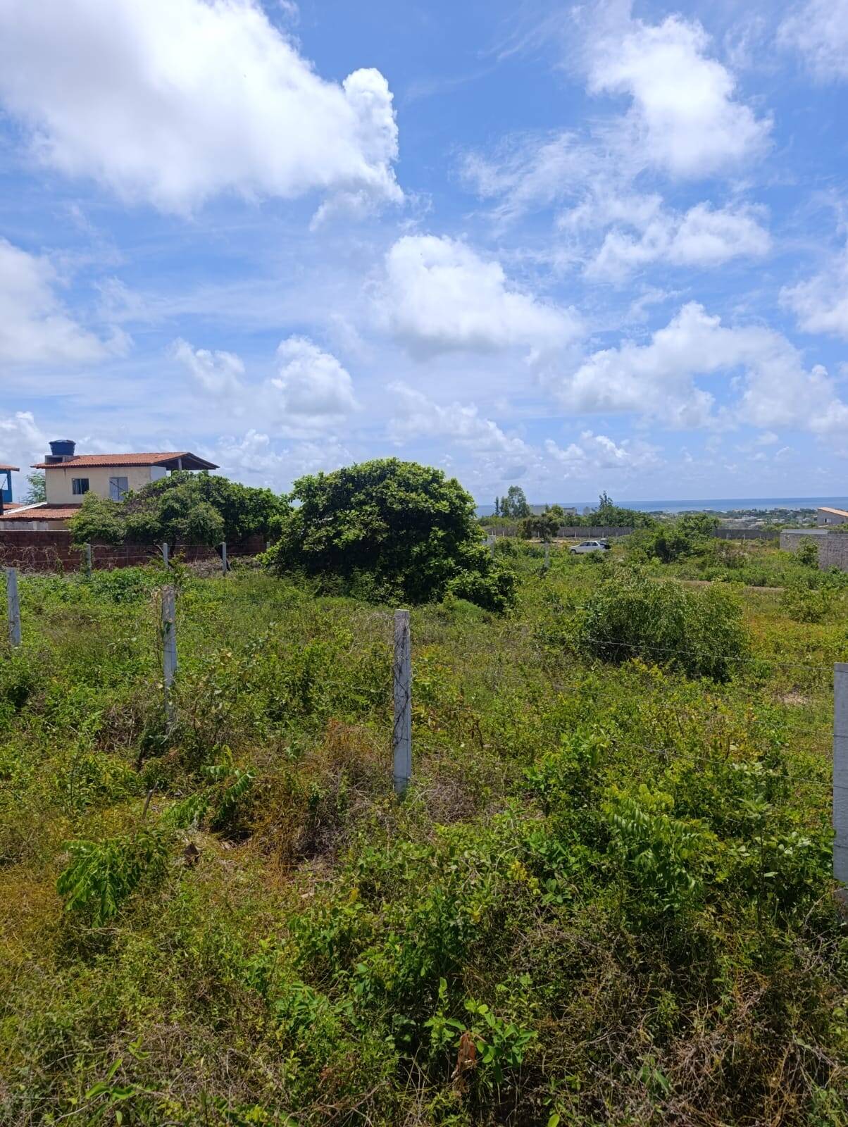 Terreno, 1230 m² - Foto 4