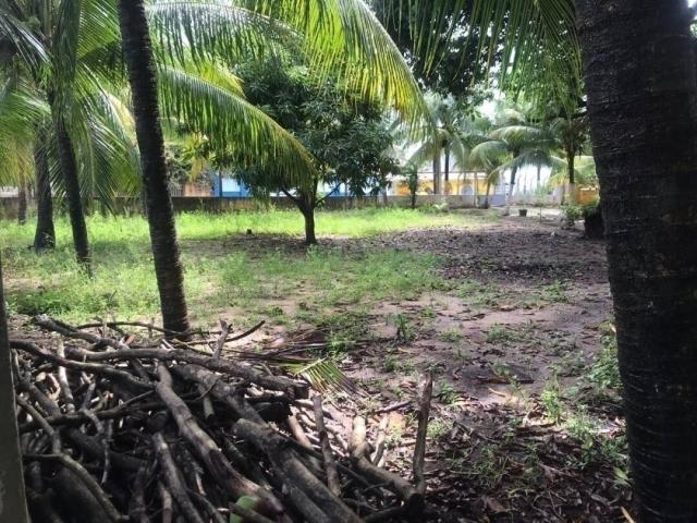 Área para Venda em Conde - 5