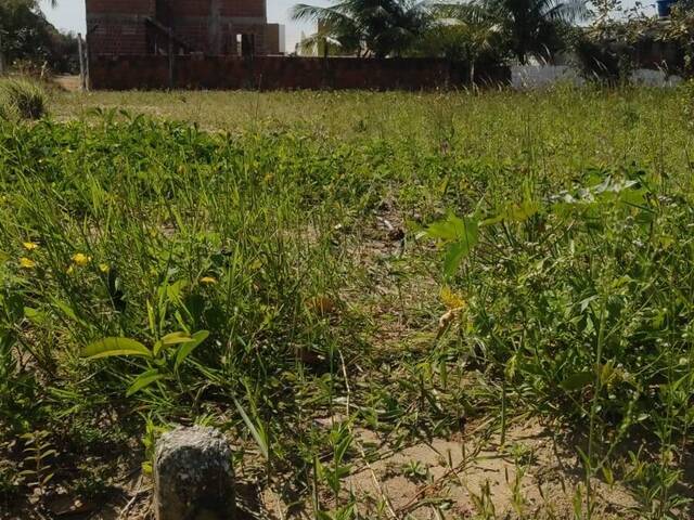#144 - Área para Venda em Conde - PB - 3