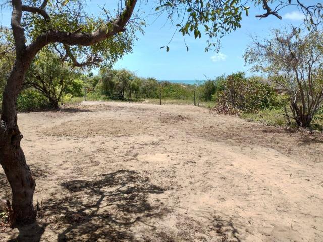 Área para Venda em Conde - 4