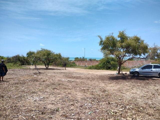 Área para Venda em Conde - 5