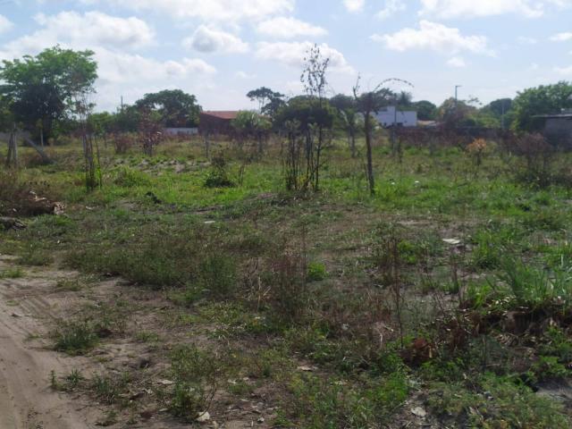 Área para Venda em Conde - 4