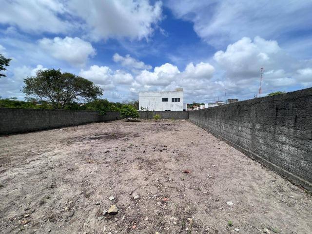 Área para Venda em Conde - 4