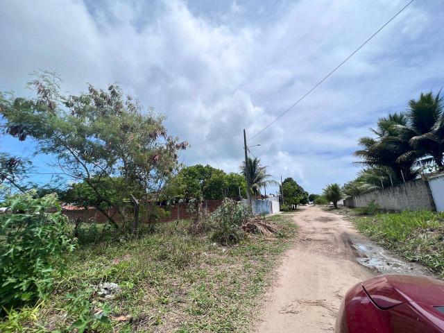 Área para Venda em Conde - 4