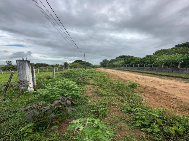 Área para Venda em Conde - 5