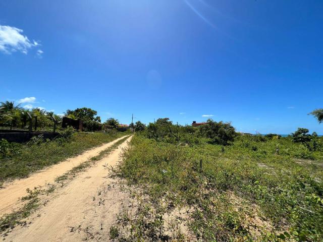 Área para Venda em Conde - 4