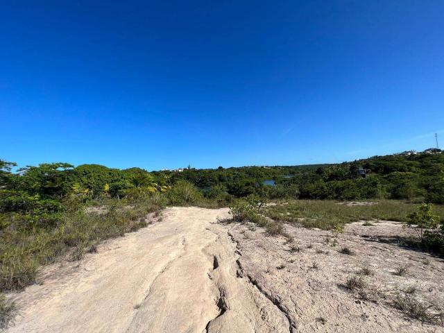Área para Venda em Conde - 4