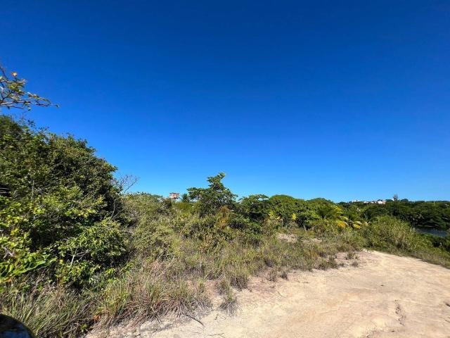 Área para Venda em Conde - 5
