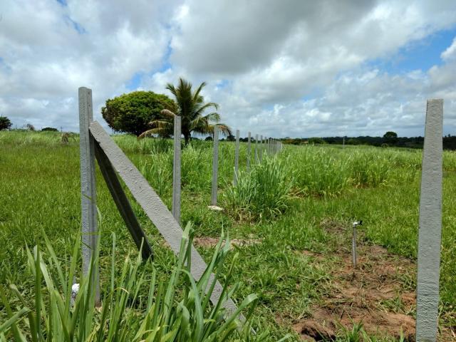 Área para Venda em Pitimbu - 4