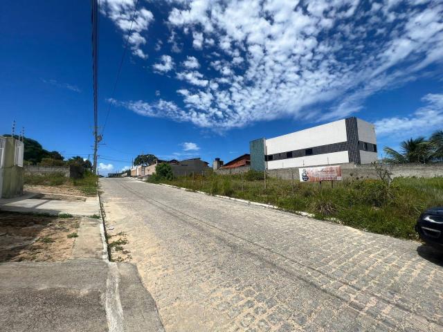 Área para Venda em Conde - 4