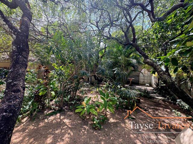 #229 - Casa para Venda em Conde - PB - 3