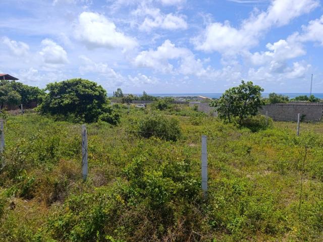 #253 - Terreno para Venda em Conde - PB - 2